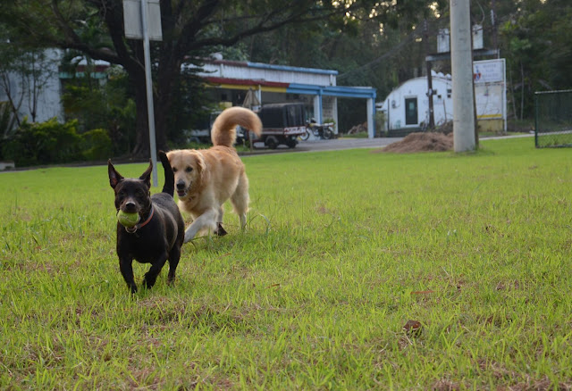 Trixie and Penny