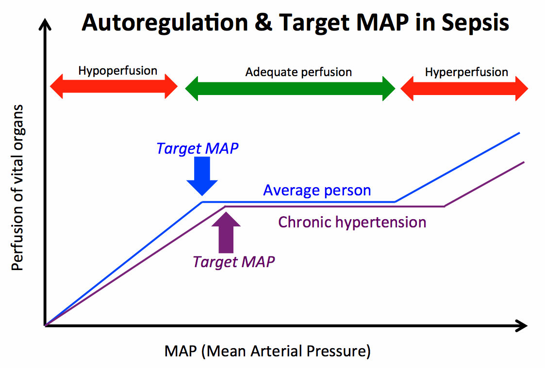blood pressure mapping