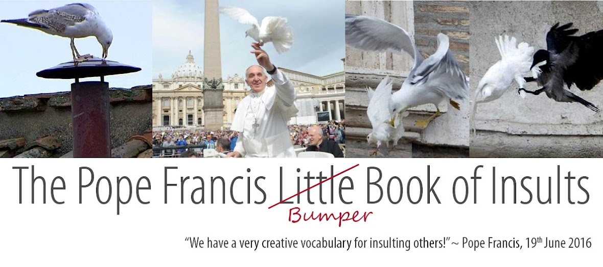 The Pope Francis Little Book of Insults