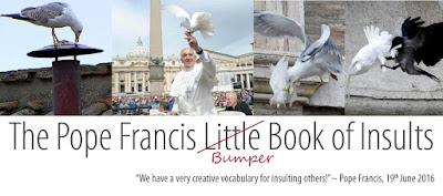 The Pope Francis Little Book of Insults
