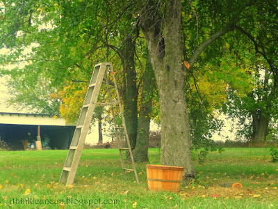 {I Think I Can}:  I Love Bushel Baskets, fall scene