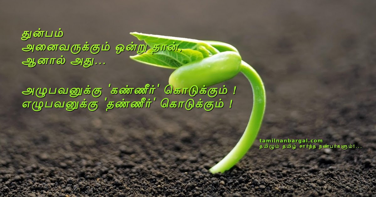 Lovers India: [Lovers India] Re: Tamil Wallpapers