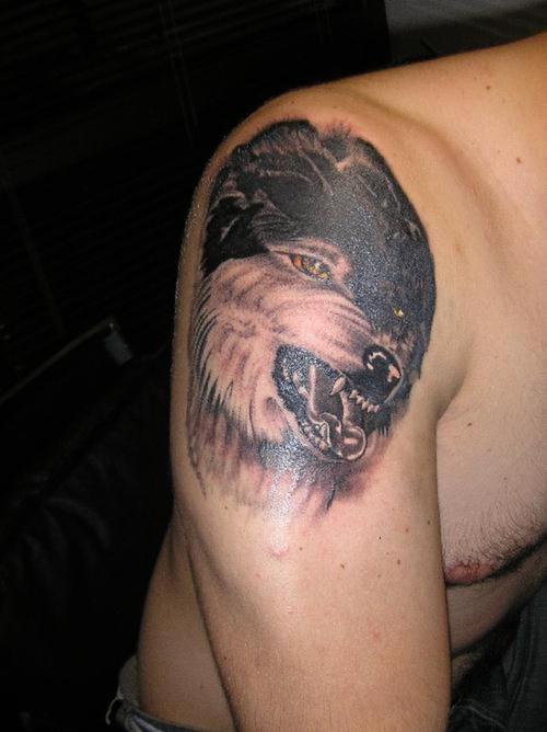 Amazing Wild Wolf Tattoos Ideas