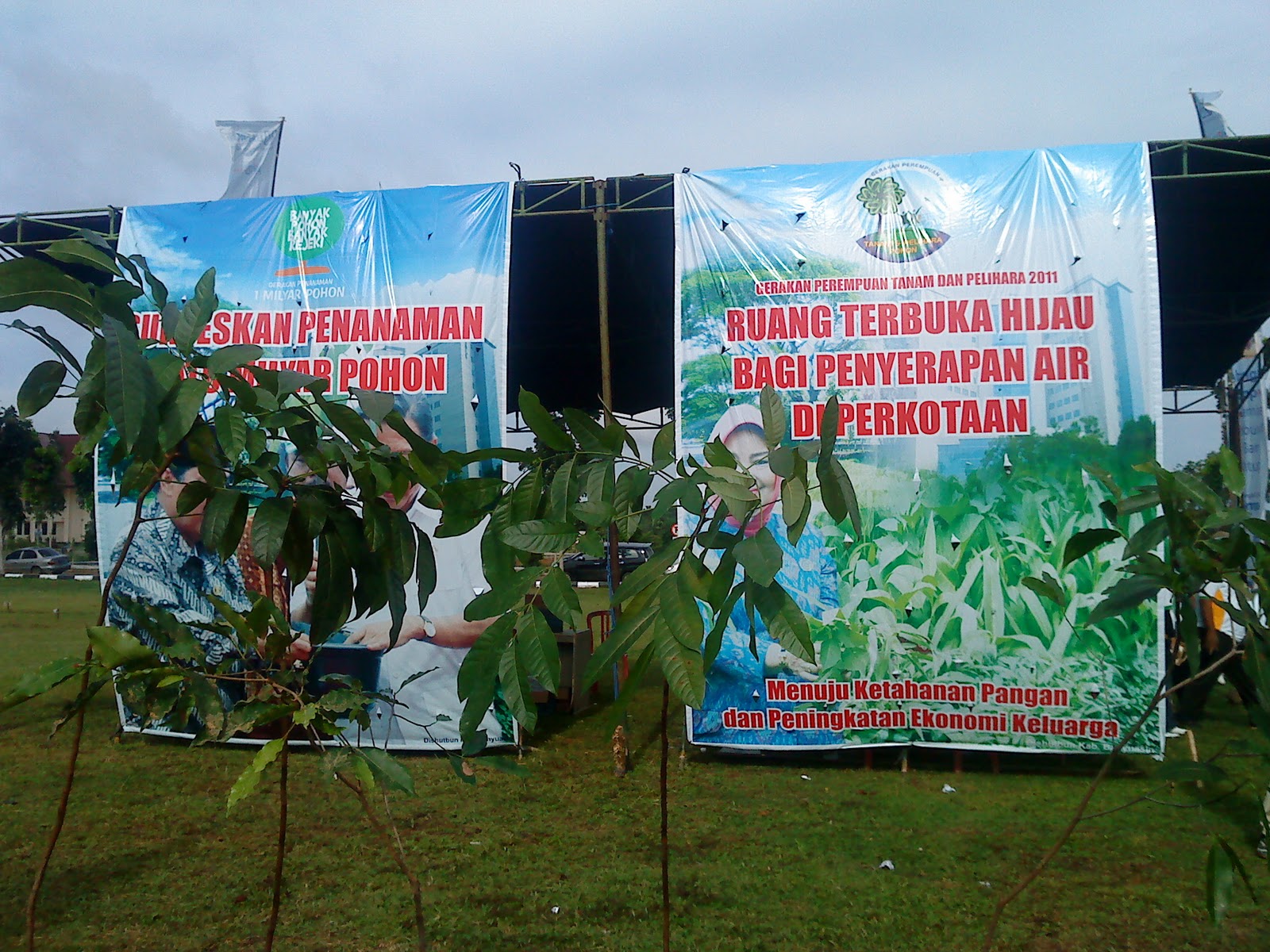 Program Revitalisasi Perkebunan 2010