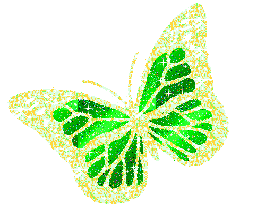 glittery butterfly random
