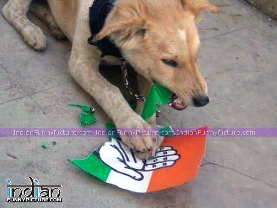 Funny Indian Dog Dont Want Congress | Funny Pictures for Facebook