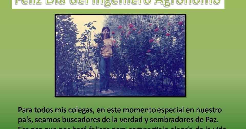 EL PERFUME DE NUESTRA TIERRA: VOCES DE PALESTINA Y DE