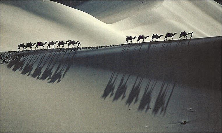 emerging photographers, Best Photo of the Day in Emphoka by C.K. NG, https://flic.kr/p/rPgDZv emerging photographers, Best Photo of the Day in Emphoka by C.K. NG, https://flic.kr/p/rPgDZv