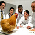 الدجاجة أولا أم البيضة؟.. علماء يحلون اللغز 
