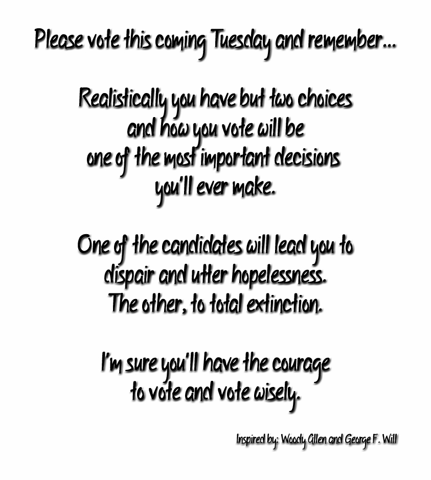 Quotes About Voting Wisely. QuotesGram Vote Wisely Quotes