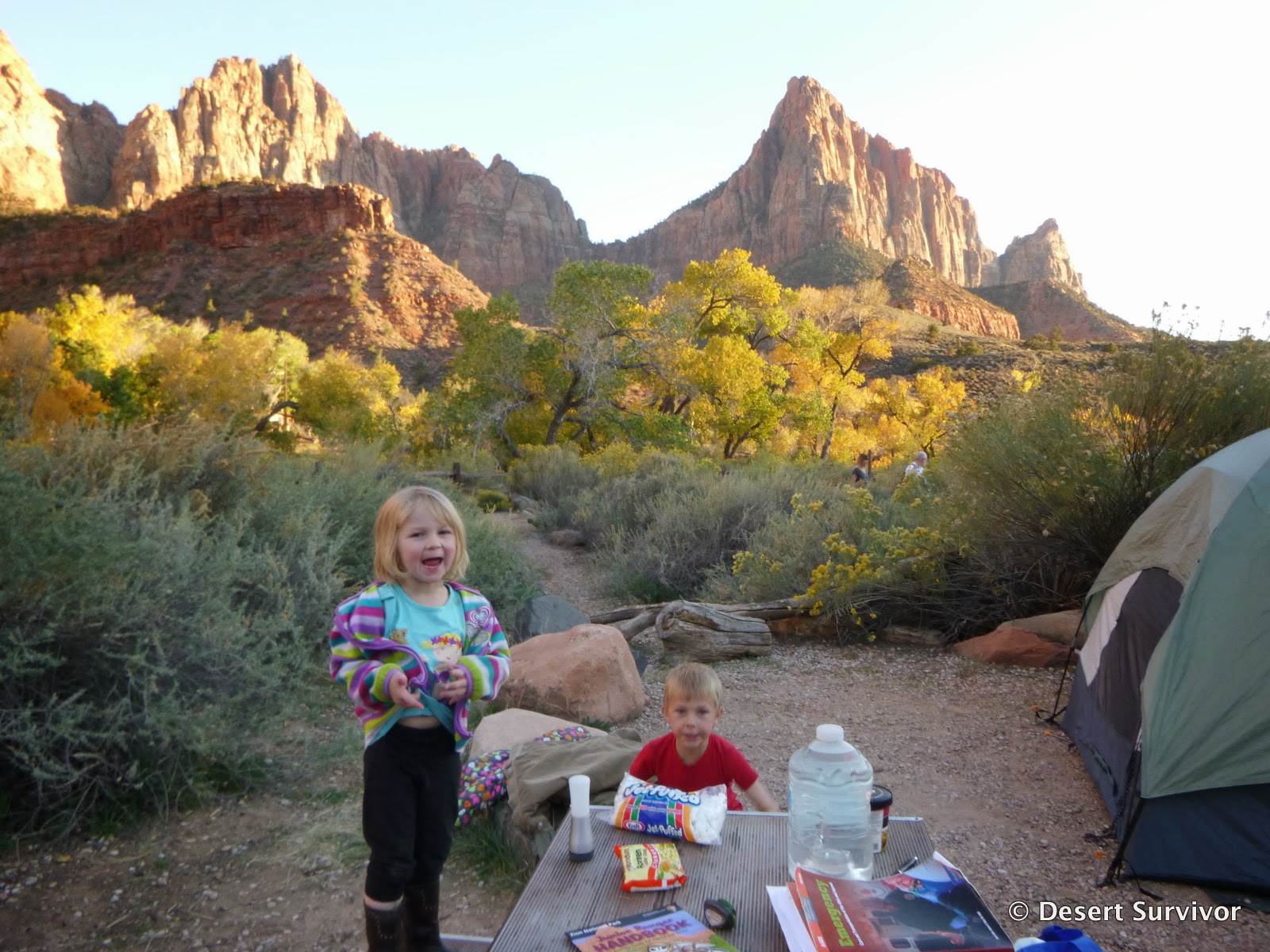 Desert Survivor Travel Tips for Visiting Zion National Park with Kids
