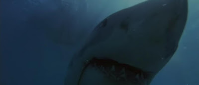 Tiburón - JAWS - Blockbuster - Cine Fantástico en el fancine de Álvaro García - ÁlvaroGP - el troblogdita - 40 años