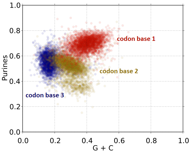 Blogorrhea The First Base In A Codon Is Usually A Purine