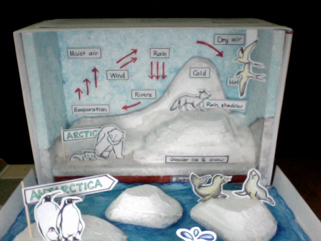 Humanities Elp 2 My Ecosystem In A Shoebox