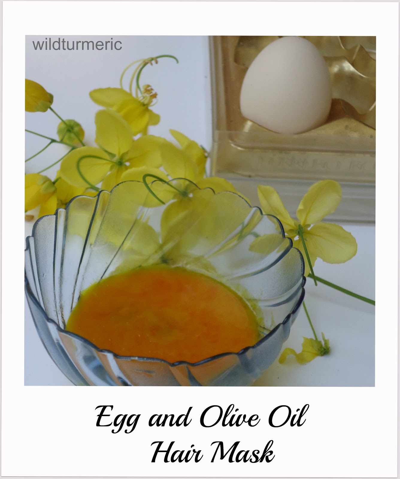 2 Simple Steps To Make Egg and Olive Oil Hair Mask For Hair Growth -  Wildturmeric