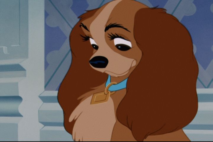 lady and the tramp and cultural Talk:lady and the tramp for the new lady and the tramp film where dose it say it is live action or a remake if there is can u p+t me to where i can find the. lady and the tramp and cultural Talk:lady and the tramp for the new lady and the tramp film where dose it say it is live action or a remake if there is can u p+t me to where i can find the.