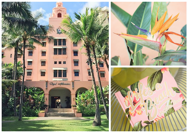 flamingo pink,rose,royal hawaiian hotel,flamand rose,inspiration,moldboard,the mood