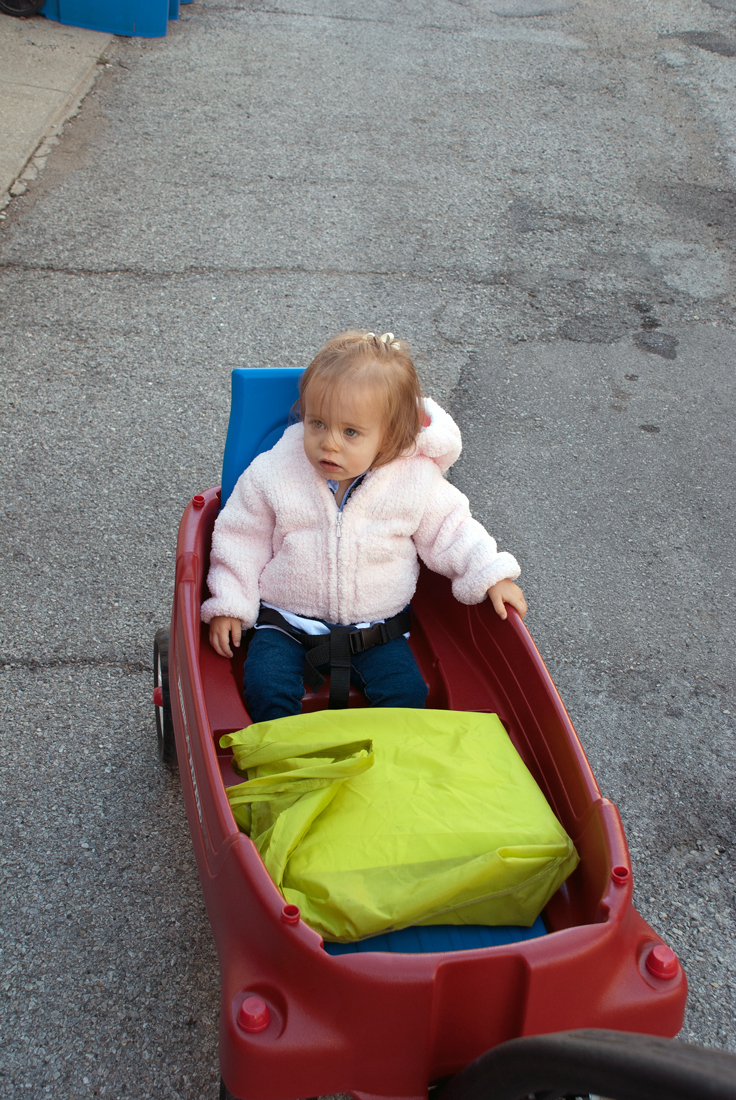 Steve Goodman Post Office Connecting the Windy City