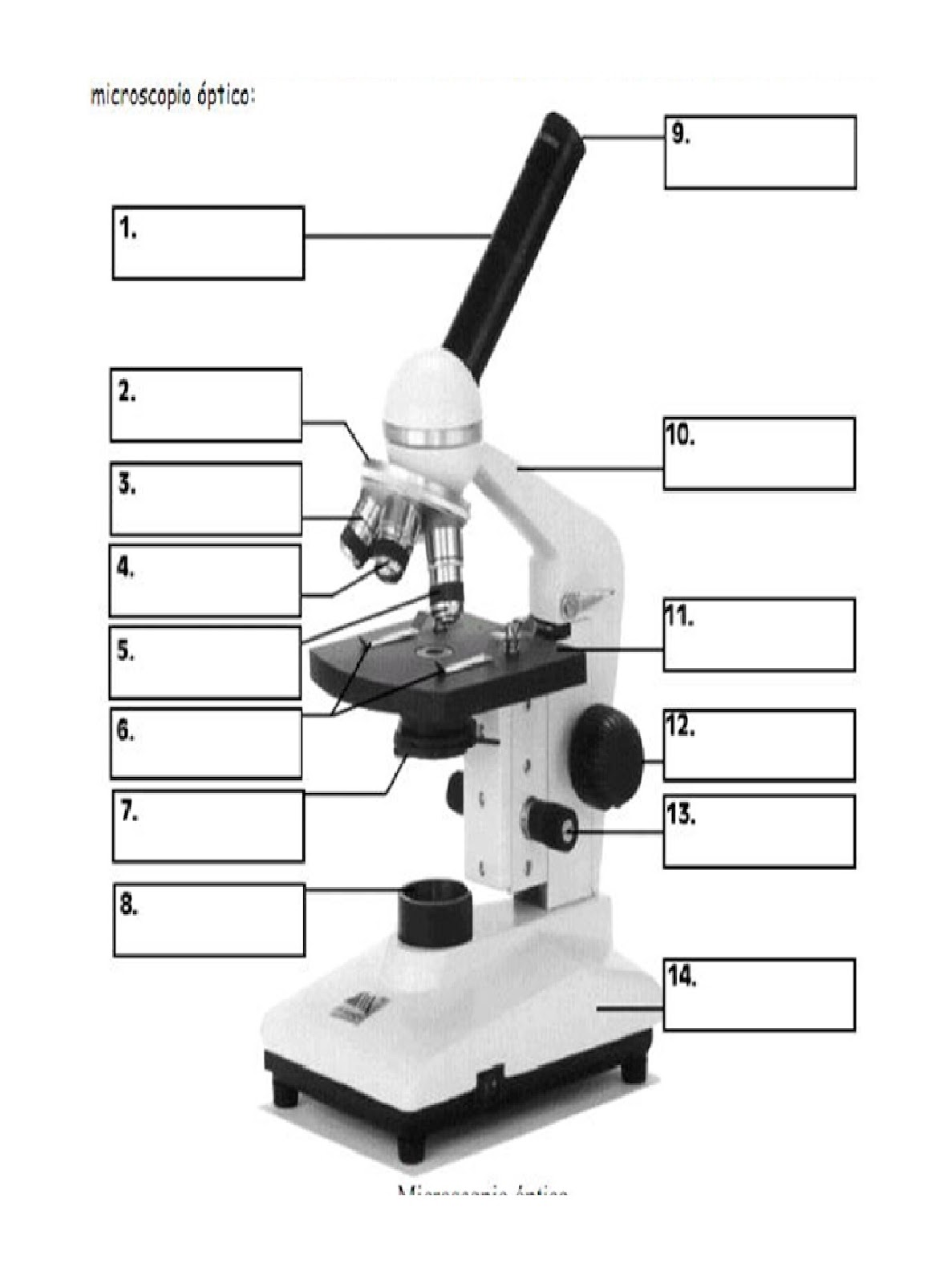 Microscopio Simple
