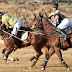 Club Polo Cabo prepares for its Baja Gold Cup