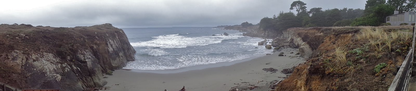 More Perils of the Urban-Forest Interface