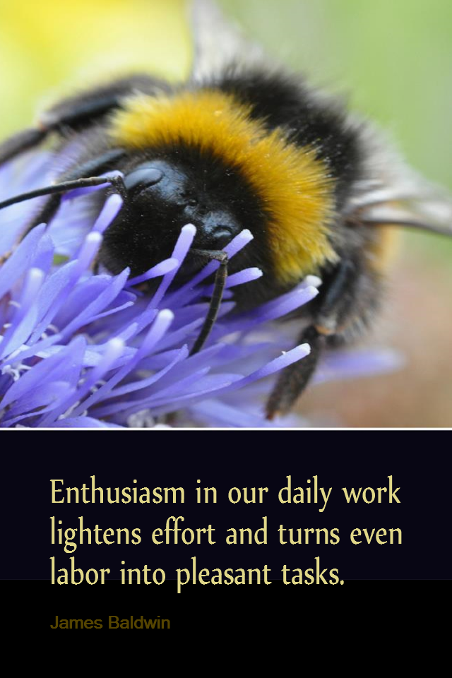 visual quote - image quotation for Enthusiasm - Enthusiasm is our daily work lightens effort and turns even labor into pleasant tasks. - James Baldwin