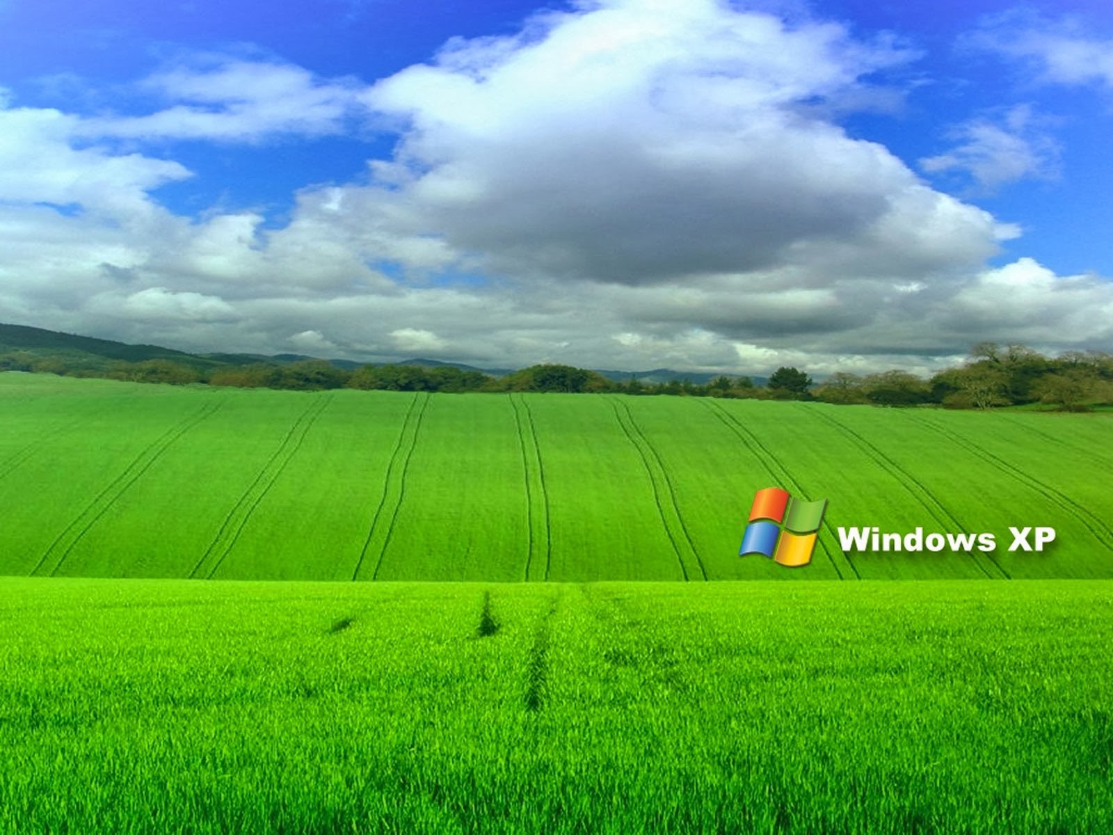 wallpapers: Grass Windows XP Wallpapers