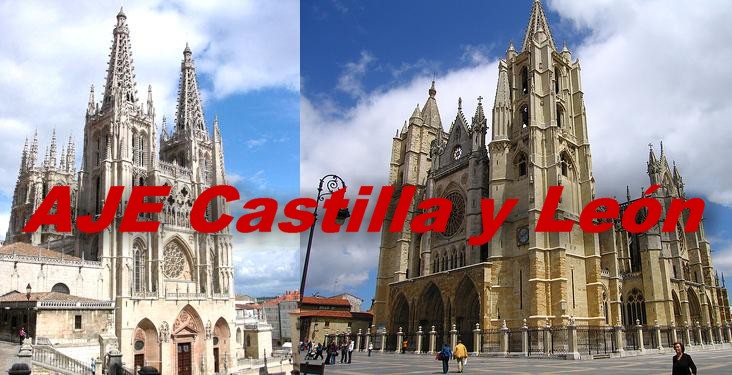 AJE Castilla y León