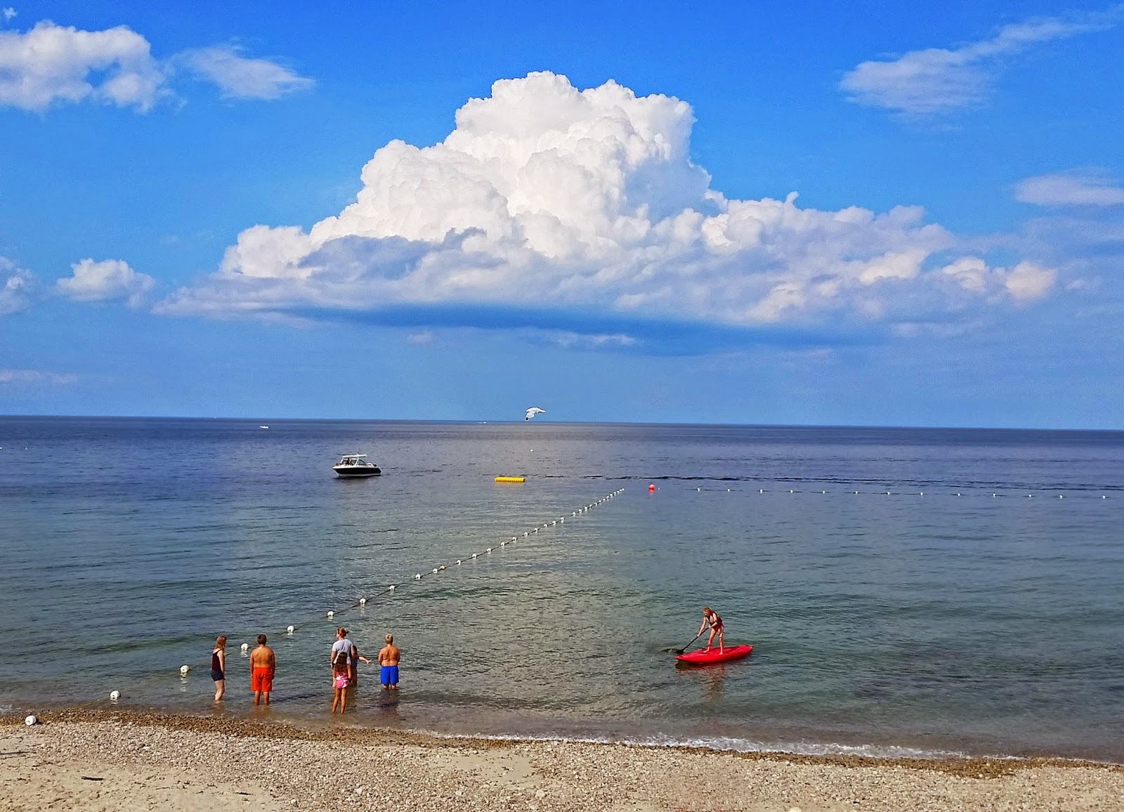 Joe's Retirement Blog Priscilla Beach, Bartlett Pond, Manomet