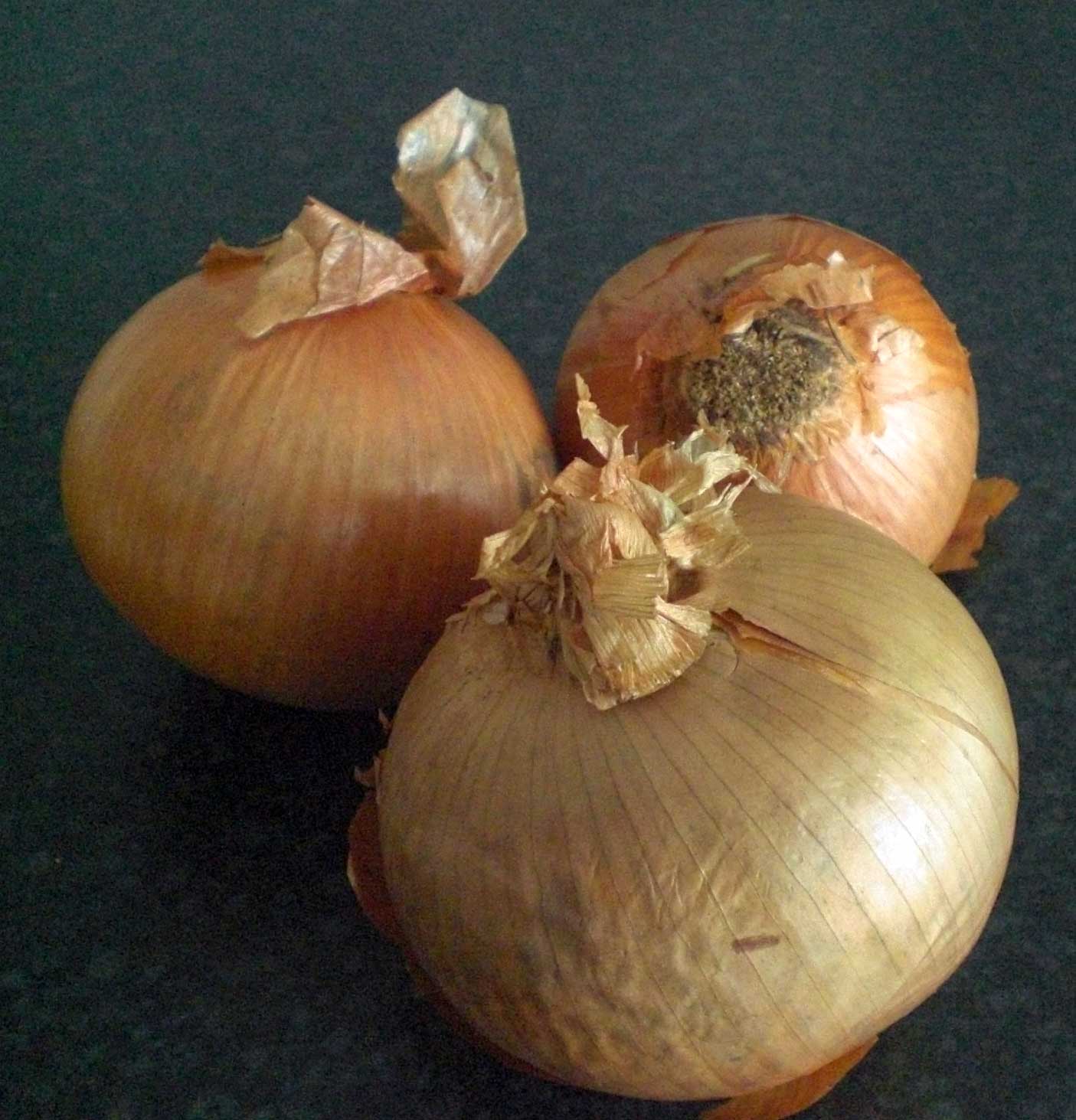 Lighthouse vision The Onion