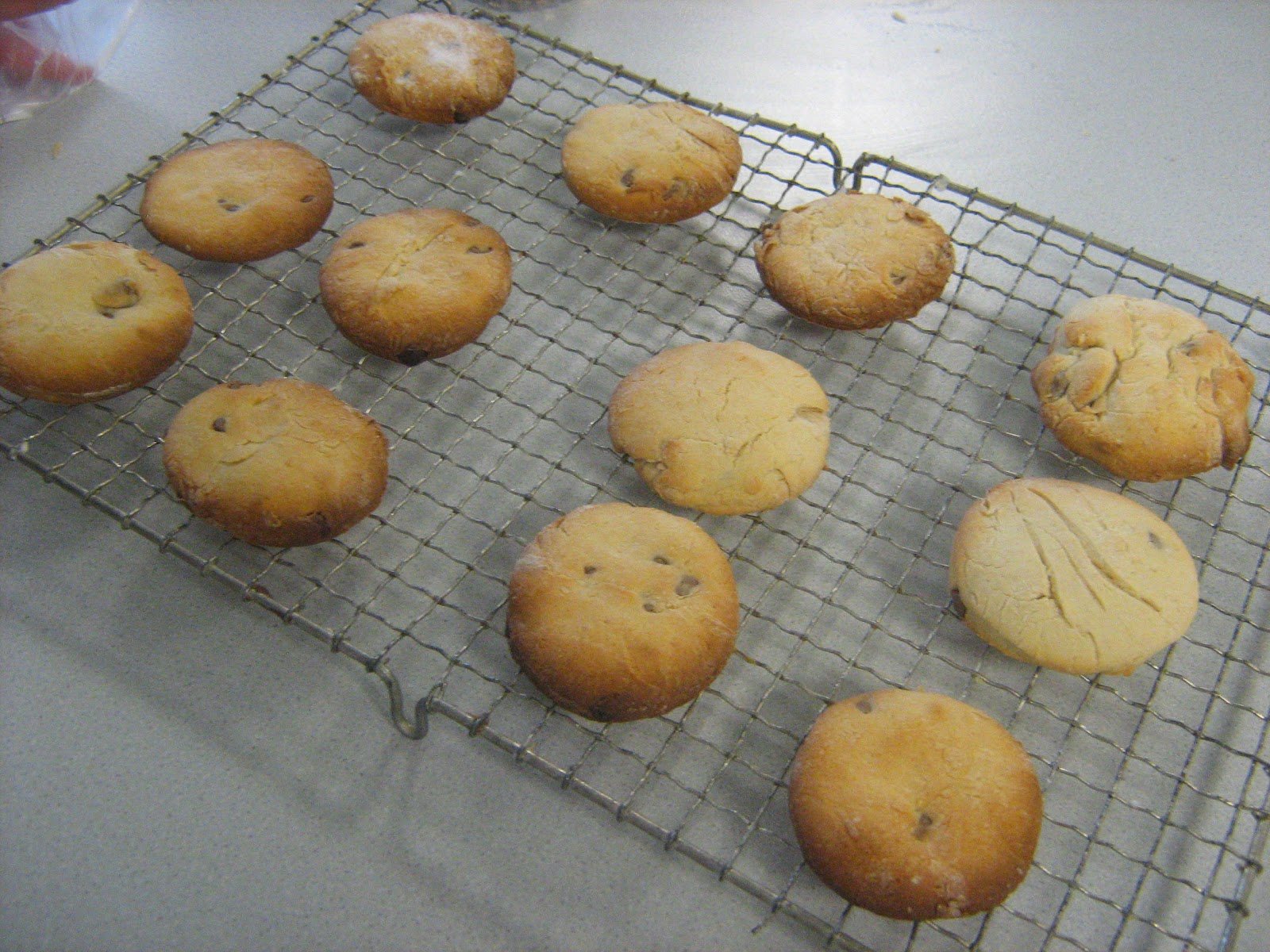 Nova Cooks Basic Biscuits Function of Ingredients