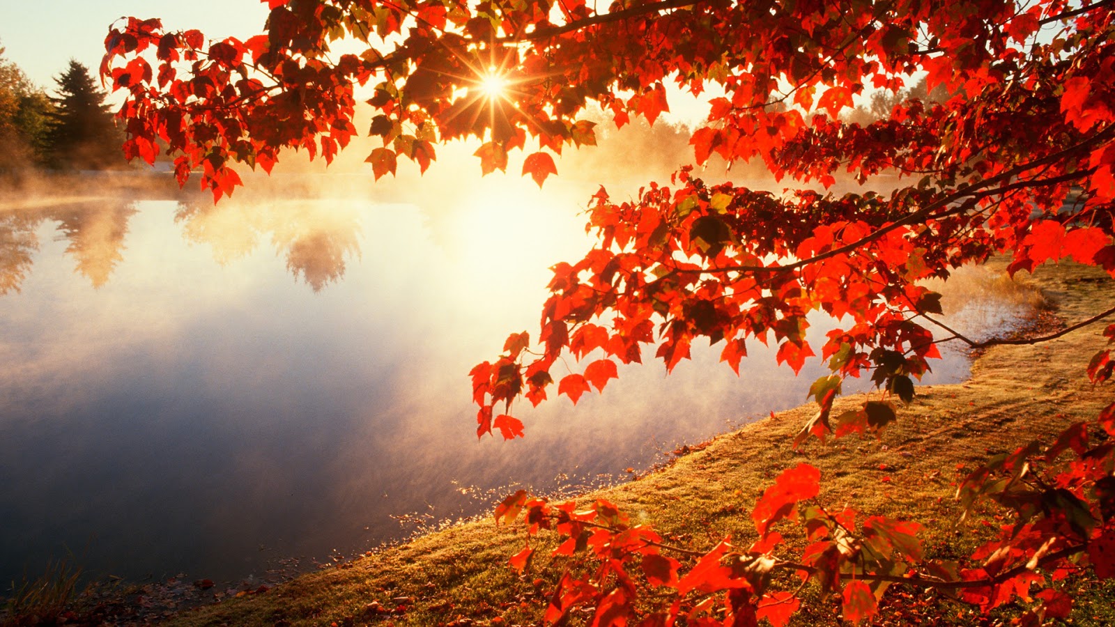 http://4.bp.blogspot.com/-jObInwj__3U/VEPSvoPyZoI/AAAAAAAAFJs/fmVJBvqFeWU/s1600/Red-autumn-morning.jpg