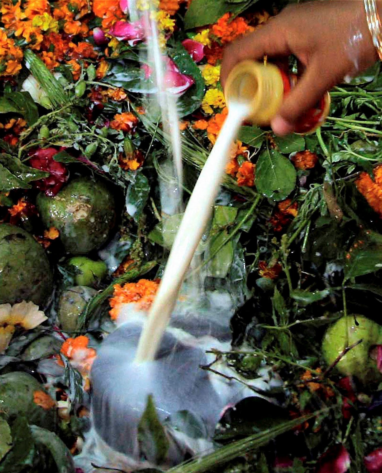 Lord Shiva Puja