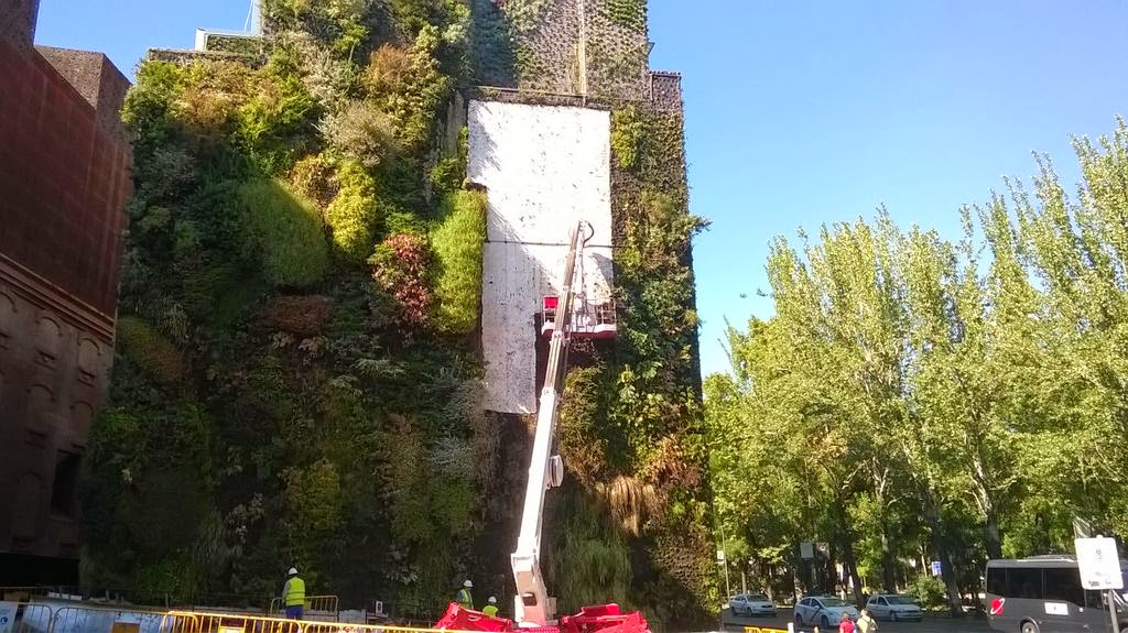 renovacion jardin vertical renovacion jardin vertical