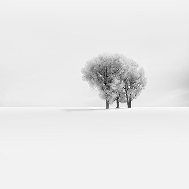 Solsticio de Invierno
