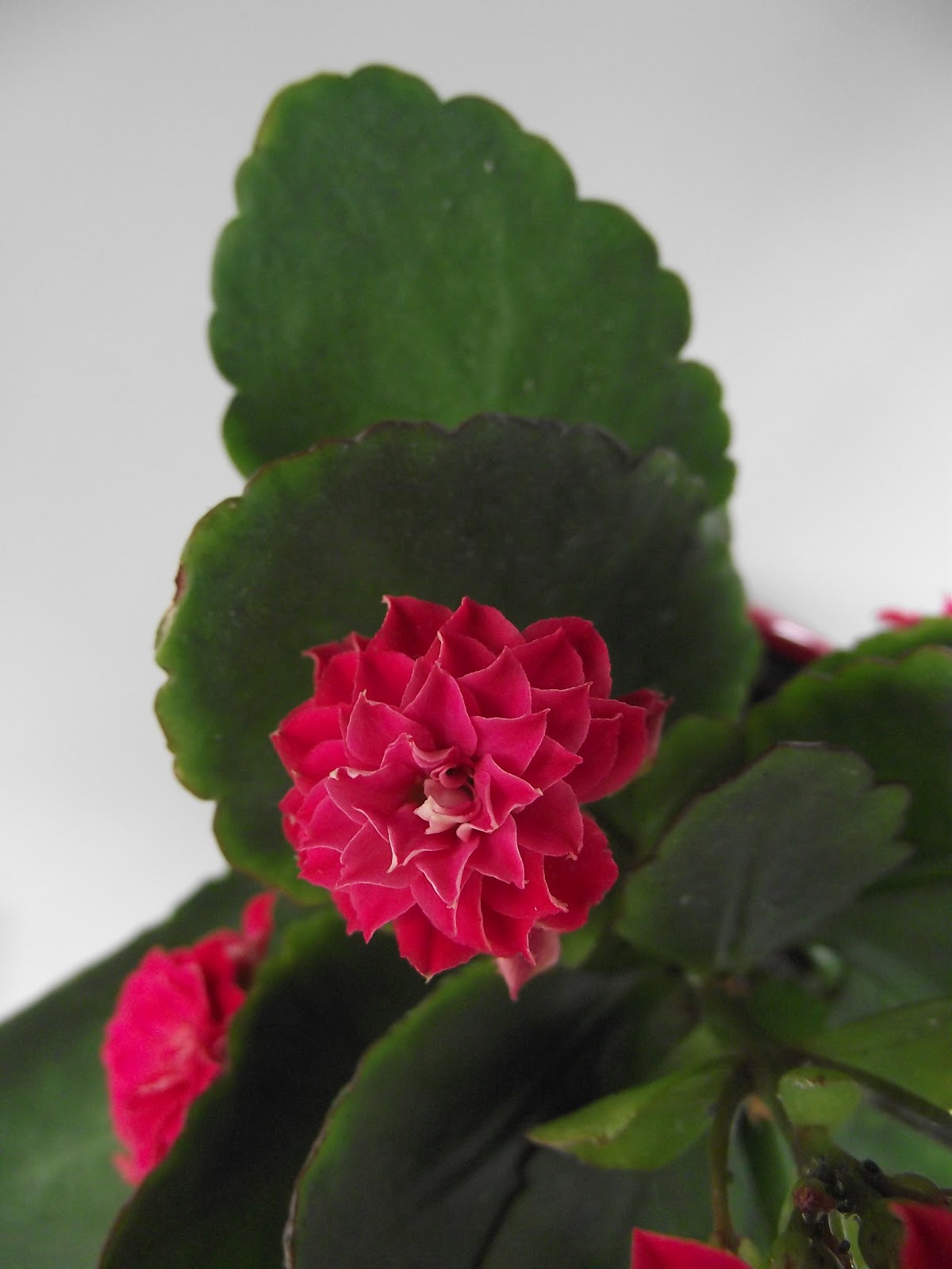 rencontre avec la femme de mon amant