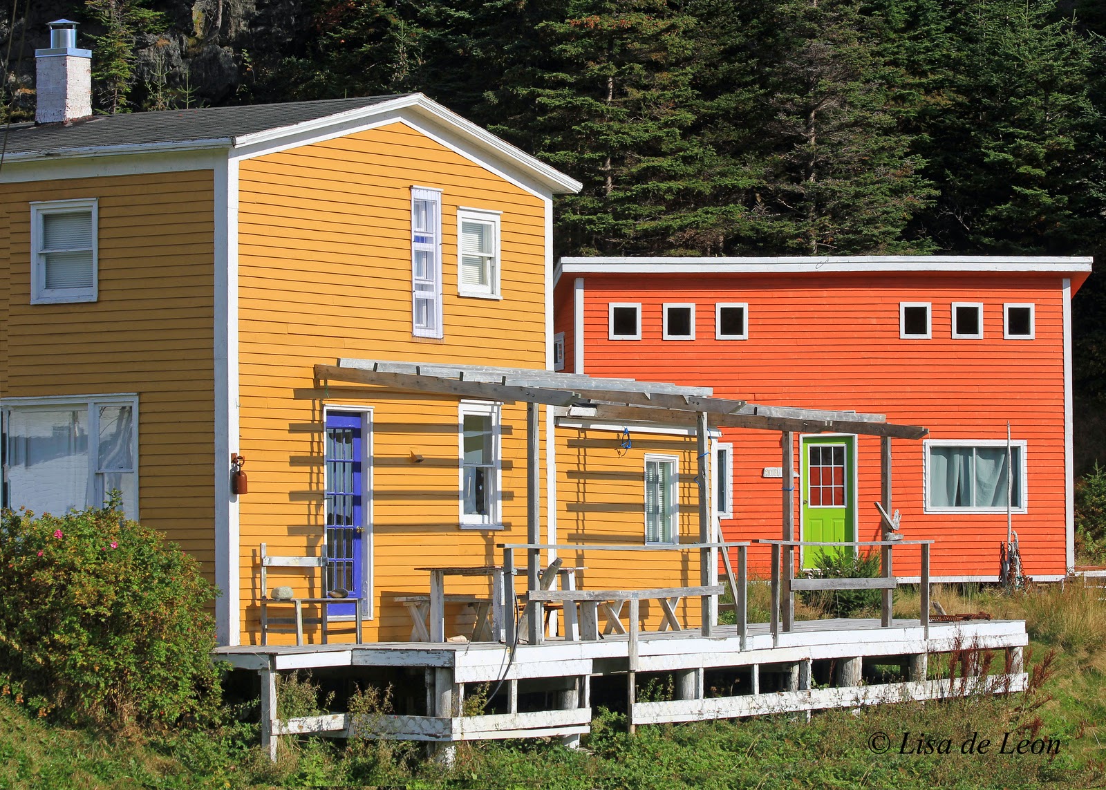 Birding with Lisa de Leon Bauline East