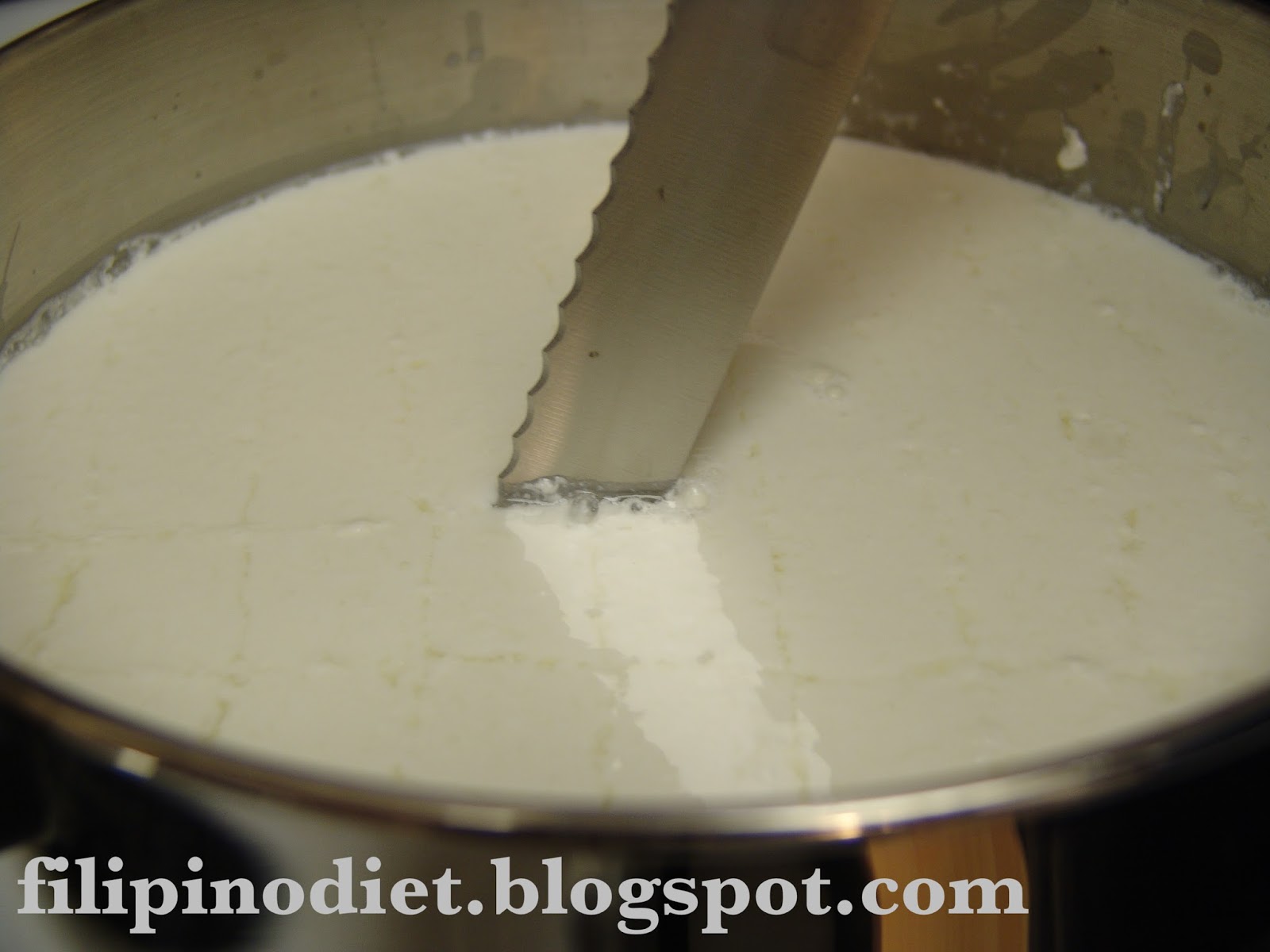 A Filipino on a Diet How to make MOZZARELLA CHEESE from scratch