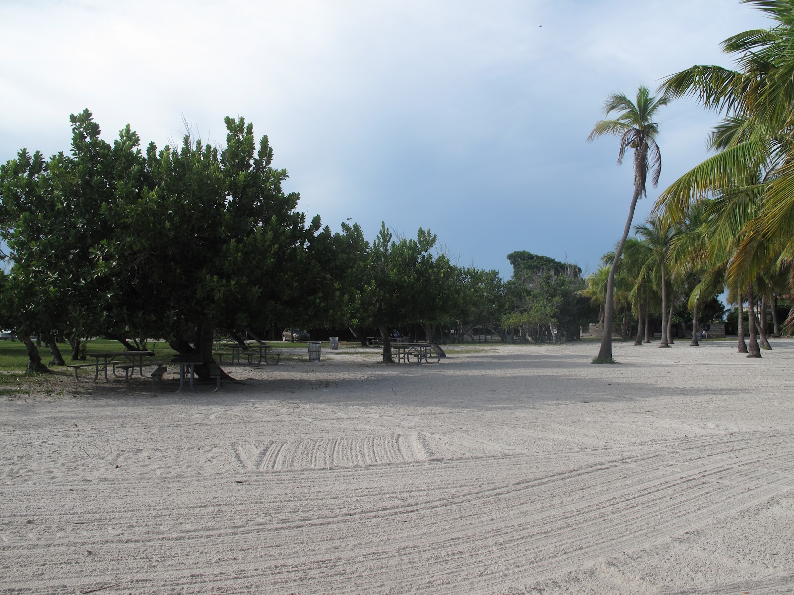 The Parks Department Matheson Hammock Park