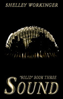 book cover of Sound by Shelley Workinger
