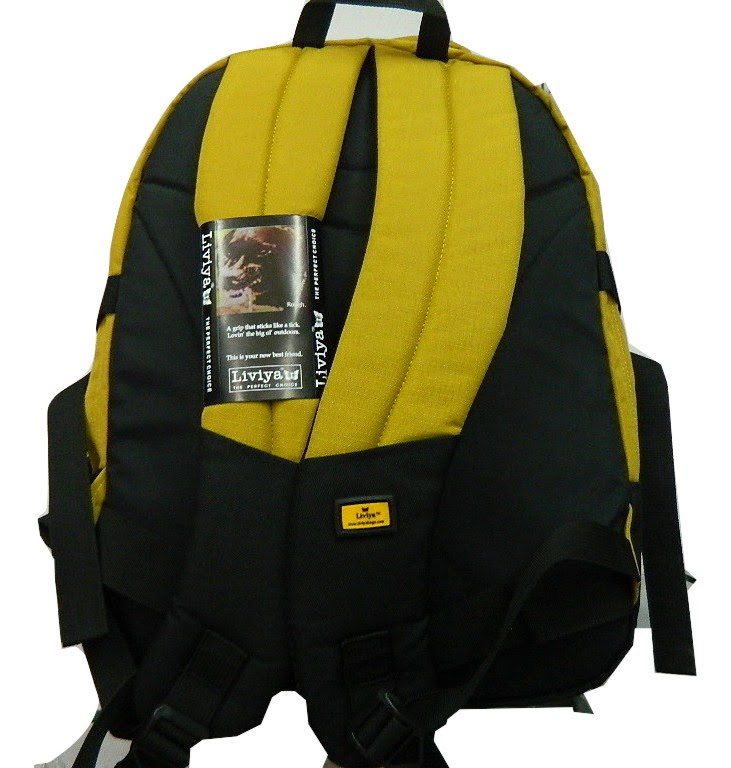 liviya bags store near me