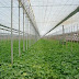 INVERPRO Proteccion Agricola