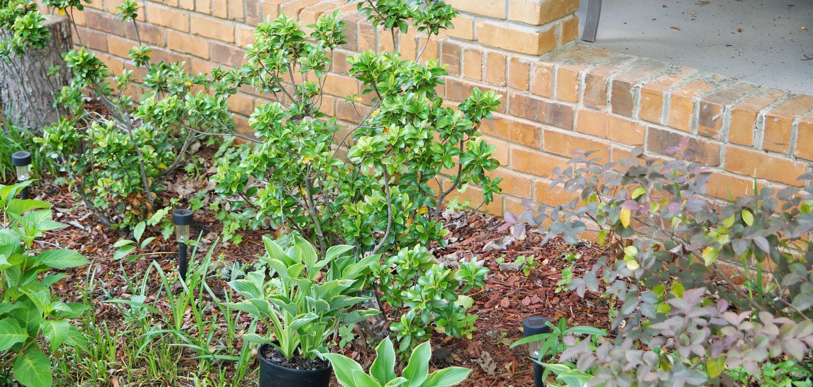 Don't Disturb This Groove Cleaning Out the Flower Bed
