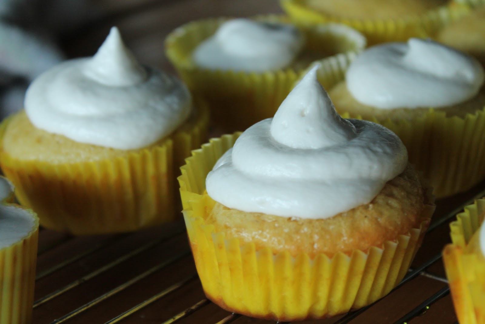 Coconut Oil Frosting TfDiaries