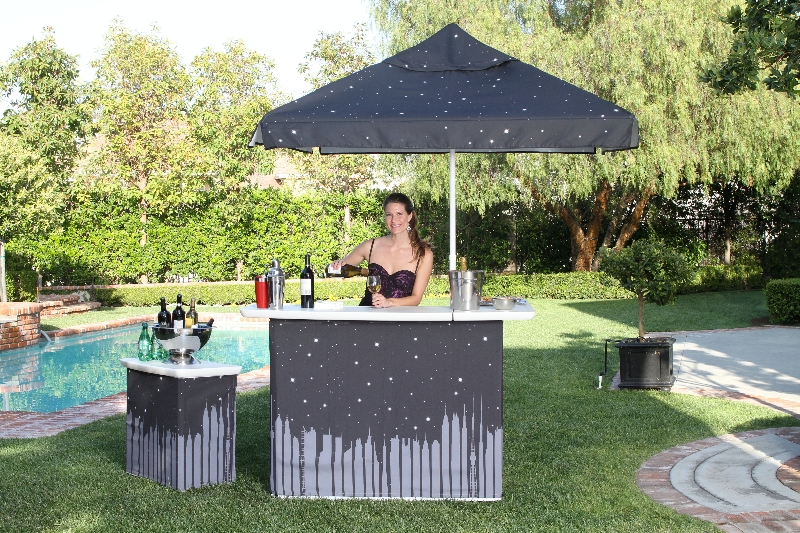 A Lucky Ladybug Best Of Times Usa Ultimate Portable Bar Review And The Best Of Times Bar Is Ultimate Piece Party Equipment For Entertainers From All Walks Life Portable Perfect Any Occasion