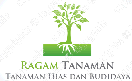 Ragam Tanaman