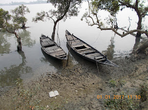 Village Canoes on the Mud flats  gradually getting afloat with the rise in Tide waters.