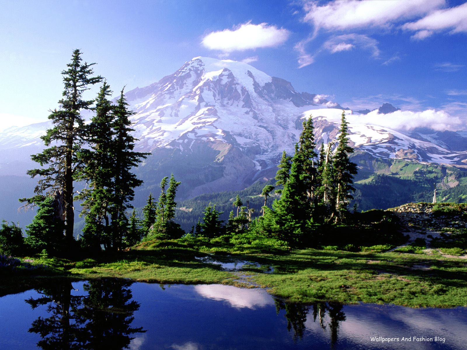 http://4.bp.blogspot.com/-jSRf57Bxo0I/TyBg_F-MuOI/AAAAAAAADyE/v72gn4D9PVU/s1600/Landscape_HD_Nature_Wallpapers_For_desktop_and_mobile_psuperos_pictures_images_paintings_psuperography_+%25286%2529.jpg