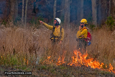 Controlled burn to take place today in Cades Cove Section of Great Smoky Mountains National Park