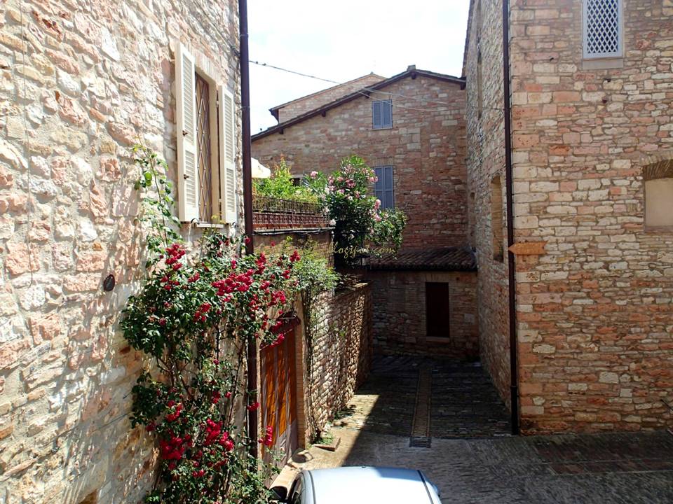 anythinglily The Lovely Homes Of Assisi